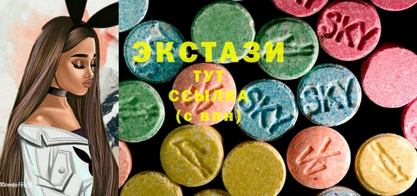 стаф Аркадак