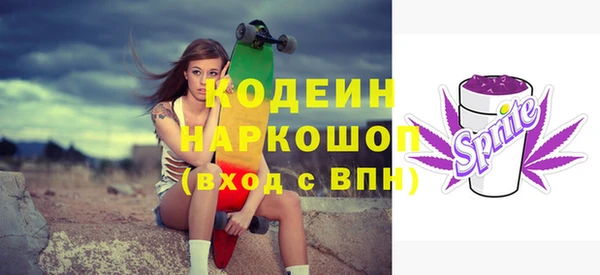 стаф Аркадак
