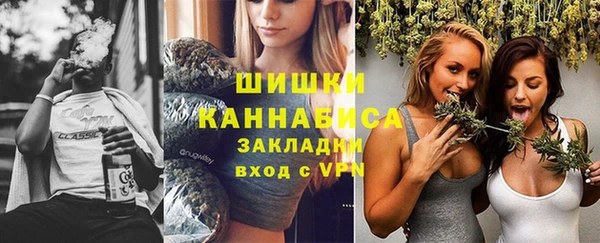стаф Аркадак