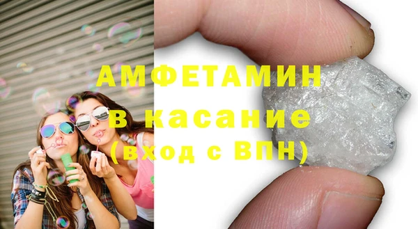 стаф Аркадак