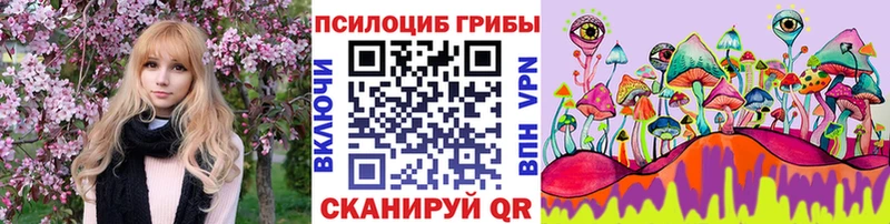 купить наркотики цена  Урюпинск  ссылка на мегу зеркало  Псилоцибиновые грибы Psilocybine cubensis 